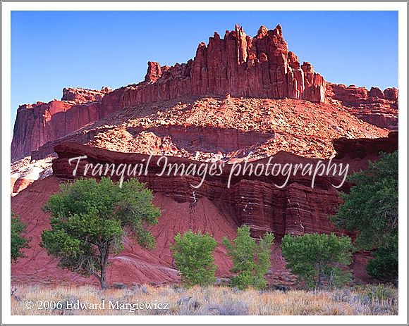 450459   Catle Rock, a landmark in Capital Reef